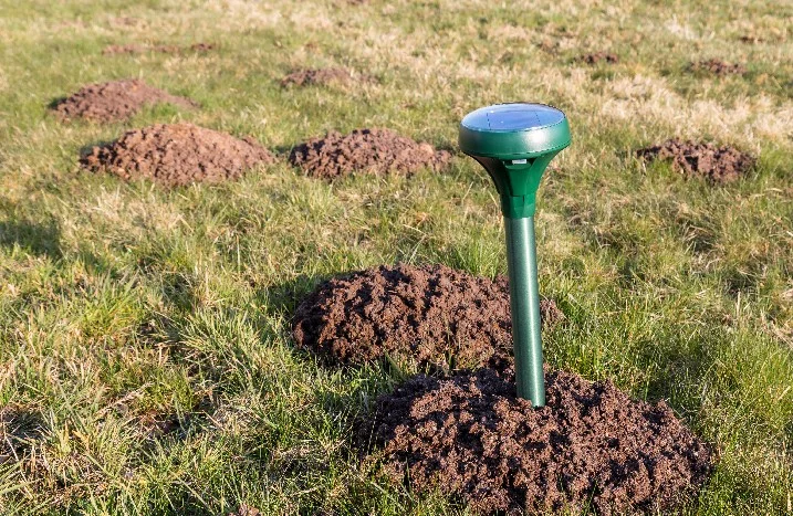 Solarbetriebener Maulwurfvertreiber im Garten